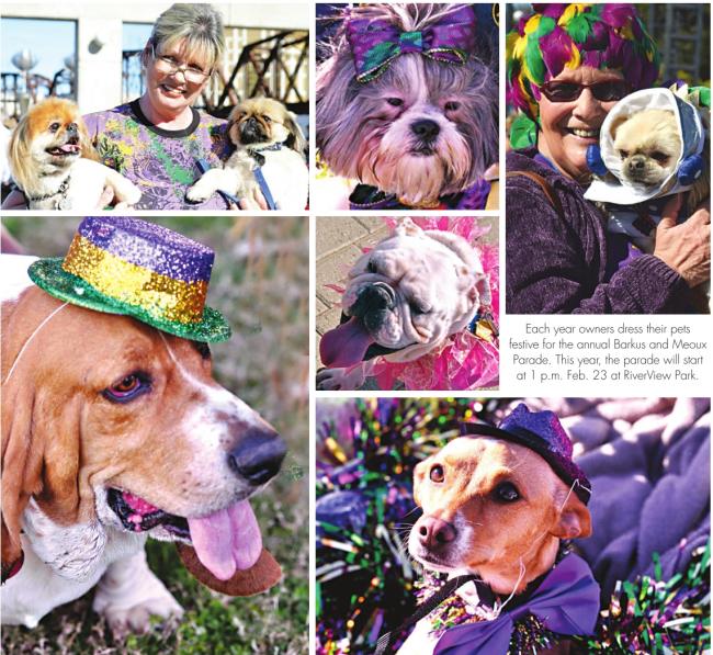 Click here to enlarge image