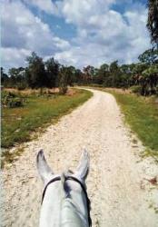 Click here to enlarge image