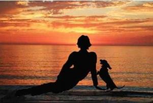 Click here to enlarge image