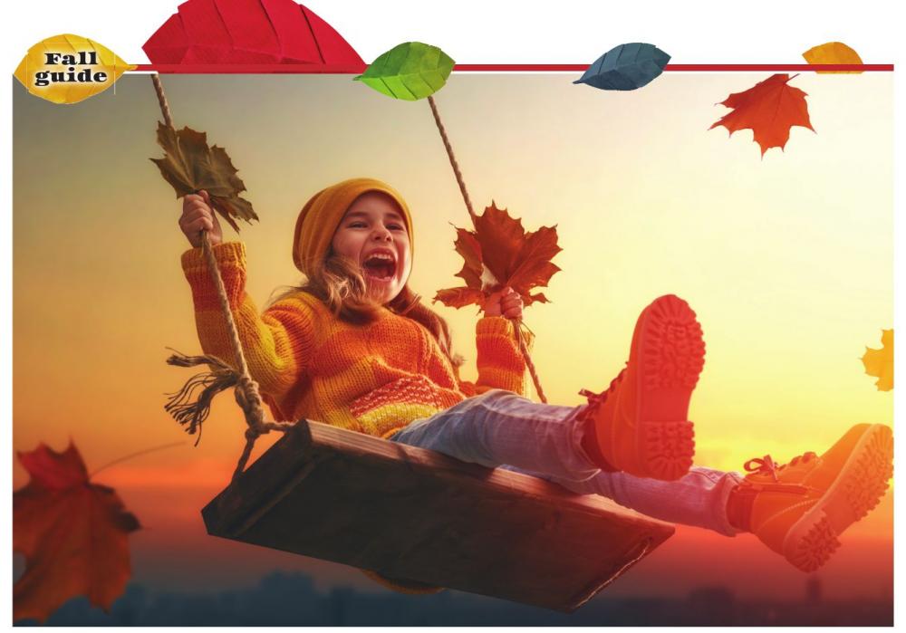 Click here to enlarge image