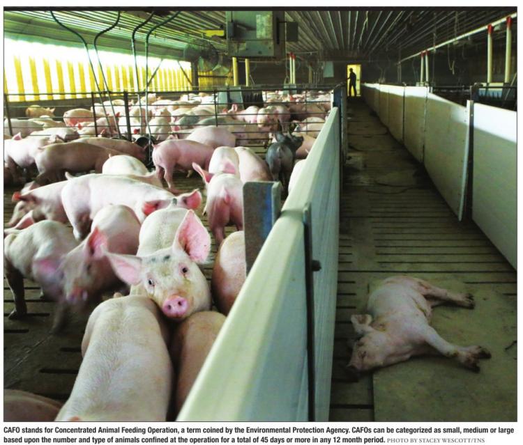 Click here to enlarge image