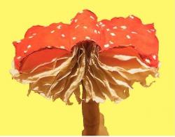 Click here to enlarge image