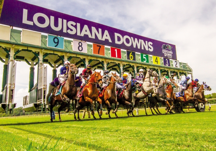 Louisiana Downs Preview 318 Forum Magazine