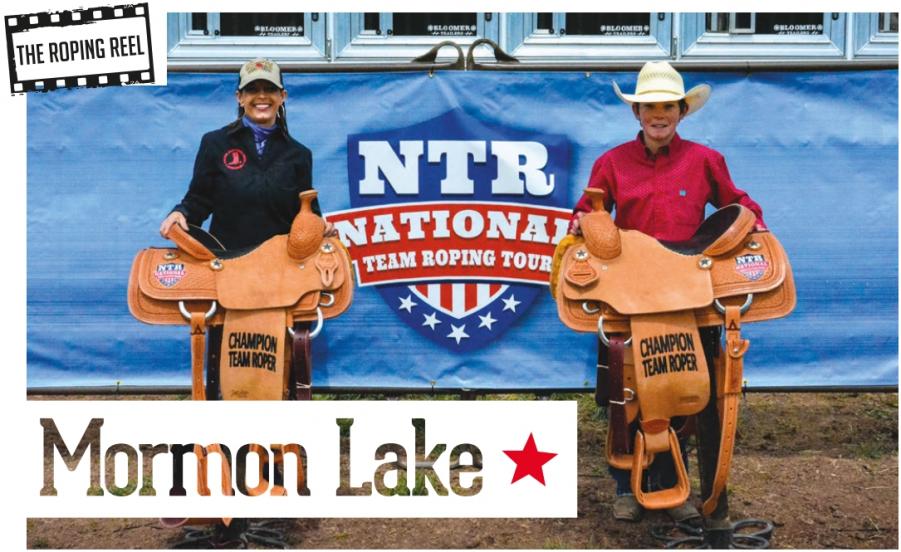 Click here to enlarge image