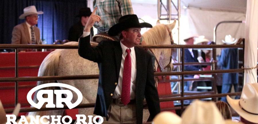 Click here to enlarge image